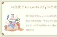 如何使用torrentkitty如何进入