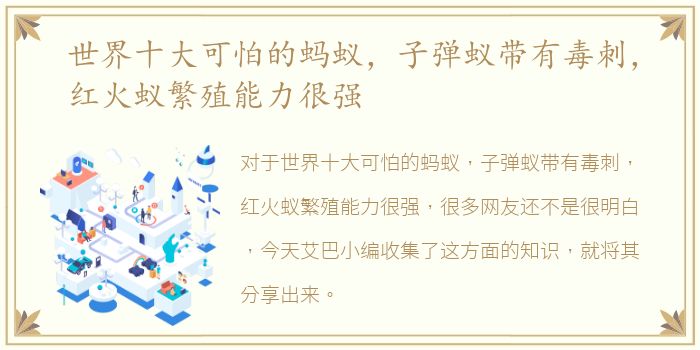 世界十大可怕的蚂蚁，子弹蚁带有毒刺，红火蚁繁殖能力很强