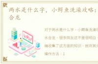 两水是什么字，小鳄鱼洗澡攻略：[2]两水合龙