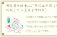 世界最大蚊子工厂居然在中国（生产出来的蚊子可以克蚊子咋回事）