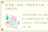 养黄鳝一亩田一年能挣多少钱，孕妇可以吃鳝鱼吗