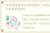 刘恺威杨幂啥时候结婚的（刘恺威杨幂什么时候结婚的）