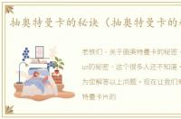 抽奥特曼卡的秘诀（抽奥特曼卡的秘诀ur）