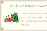 铝阳极（电解熔融氧化铝阳极）