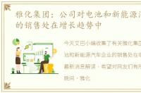 雅化集团：公司对电池和新能源汽车企业的销售处在增长趋势中
