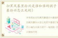 扫黑风暴里孙兴是谁和谁的孩子（扫黑风暴孙兴怎么死的）