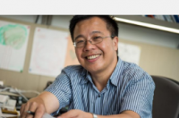 量子发现材料可以具有D波效应和F波行为