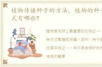 植物传播种子的方法，植物的种子传播方式有哪些?