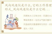 风向风速仪是什么,它的工作原理是怎样的形式_风向风速仪是什么它的工作原理是怎样的