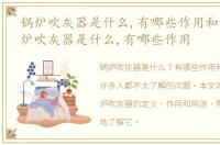 锅炉吹灰器是什么,有哪些作用和用途，锅炉吹灰器是什么,有哪些作用