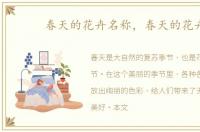 春天的花卉名称，春天的花卉