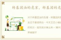 转基因油的危害，转基因的危害