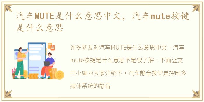 汽车MUTE是什么意思中文，汽车mute按键是什么意思