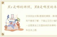 黑r是哪的牌照，黑R是哪里的车牌号