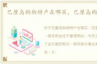 巴厘岛购物特产在哪买，巴厘岛购物特产