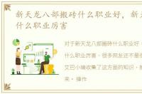 新天龙八部搬砖什么职业好，新天龙八部什么职业厉害
