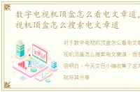 数字电视机顶盒怎么看电文章道，数字电视机顶盒怎么搜索电文章道