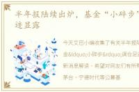 半年报陆续出炉，基金“小碎步”调仓足迹显露