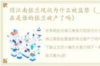 俏江南张兰现状为什么被监禁（_俏江南现在是谁的张兰破产了吗）