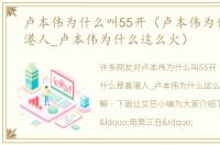 卢本伟为什么叫55开（卢本伟为什么是香港人_卢本伟为什么这么火）