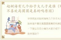 赵树海有几个孙子大儿子是谁（曝赵树海不喜欢高圆圆是真的吗原因）
