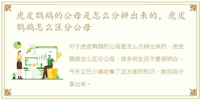 虎皮鹦鹉的公母是怎么分辨出来的，虎皮鹦鹉怎么区分公母