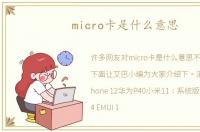 micro卡是什么意思