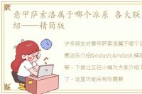 意甲萨索洛属于哪个派系 各大联赛派系介绍——精简版