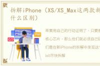 拆解iPhone（XS/XS_Max这两款新手机,有什么区别）