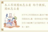 木工吊顶图纸怎么看 给个教程，木工吊顶图纸怎么看