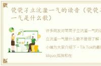 茕茕孑立沆瀣一气的读音（茕茕孑立沆瀣一气是什么歌）