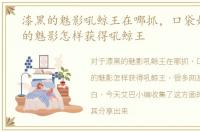 漆黑的魅影吼鲸王在哪抓，口袋妖怪漆黑的魅影怎样获得吼鲸王