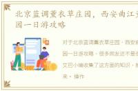 北京蓝调薰衣草庄园，西安曲江薰衣草庄园一日游攻略