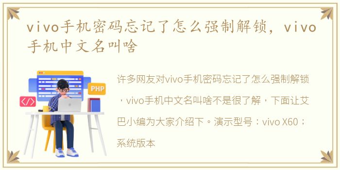 vivo手机密码忘记了怎么强制解锁，vivo手机中文名叫啥