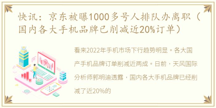 快讯：京东被曝1000多号人排队办离职（国内各大手机品牌已削减近20%订单）