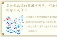 引起鹅痛风的原因有哪些，引起脚趾痛风的原因是什么