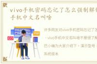 vivo手机密码忘记了怎么强制解锁，vivo手机中文名叫啥