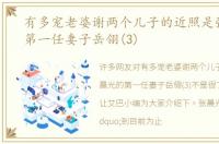 有多宠老婆谢两个儿子的近照是张晨光的第一任妻子岳翎(3)