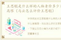 王思聪是什么样的人物身价多少为什么被高限（马云怎么评价王思聪）