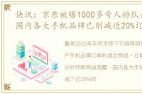 快讯：京东被曝1000多号人排队办离职（国内各大手机品牌已削减近20%订单）
