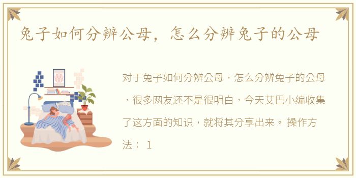 兔子如何分辨公母，怎么分辨兔子的公母