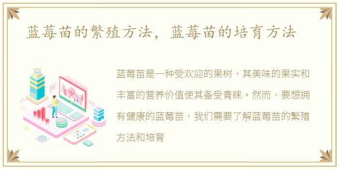 蓝莓苗的繁殖方法，蓝莓苗的培育方法