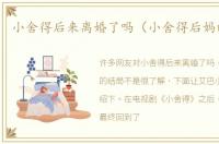 小舍得后来离婚了吗（小舍得后妈的结局）