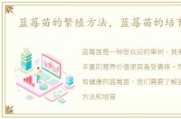 蓝莓苗的繁殖方法，蓝莓苗的培育方法