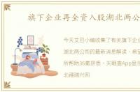 旗下企业再全资入股湖北两公司