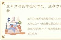 生命力顽强的植物作文，生命力顽强的植物