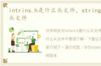 intrins.h是什么头文件，string.h是什么头文件