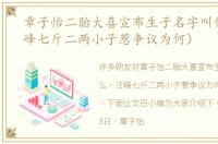 章子怡二胎大喜宣布生子名字叫什么（汪峰七斤二两小子惹争议为何）