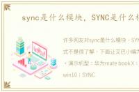 sync是什么模块，SYNC是什么模式