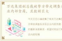万达集团副总裁被警方带走调查系涉及企业内部贪腐，且数额巨大